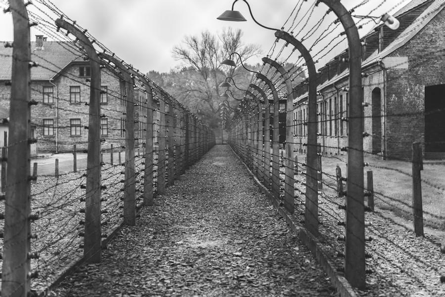 Experiences in a Concentration Camp