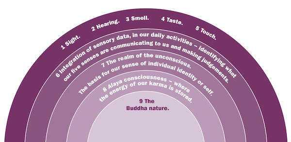 Buddhist Consciousness 