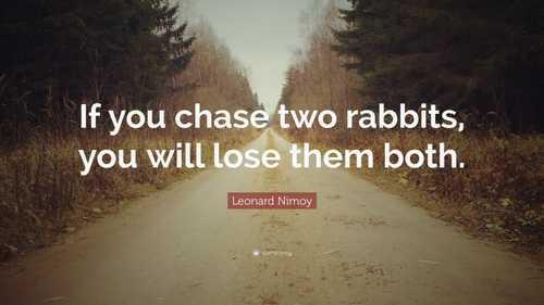 “If you chase two rabbits, you will lose them both.”