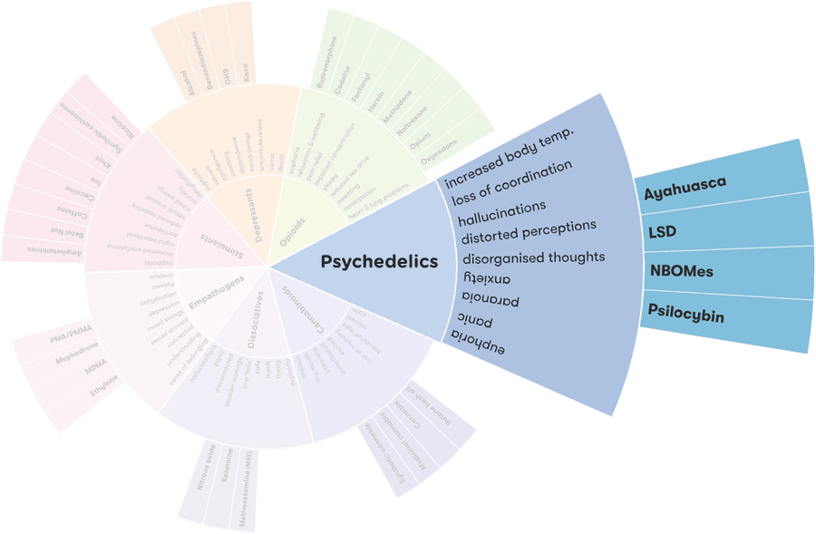 Effects of psychedelics 
