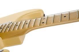Fender Signature Series