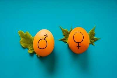 Difference between 'sexual orientation' and 'gender identity