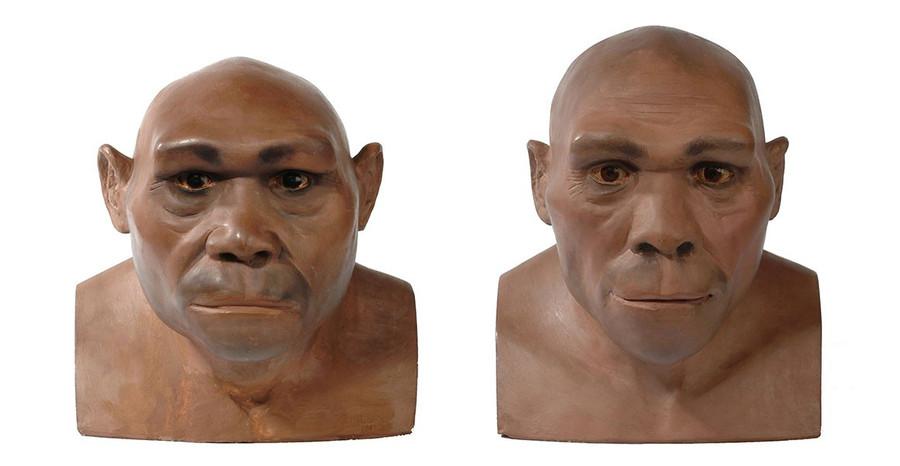 H. Erectus: The Enduring Hiker (1.89 Million to 110,000 Years Ago)