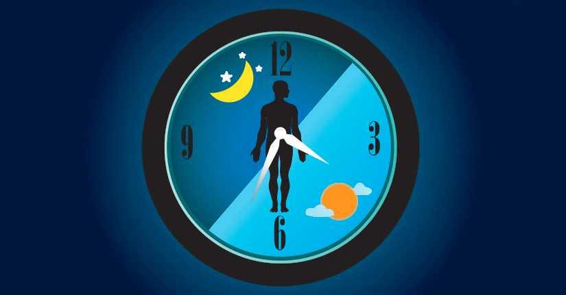 Our Internal Biological Clock