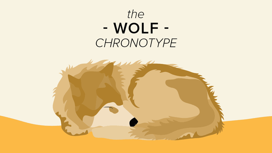 Characteristics of a Wolf