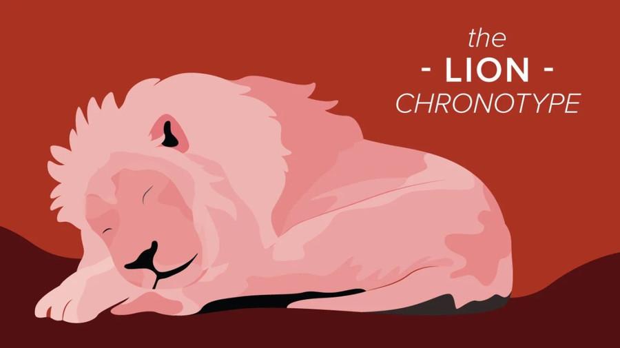 Characteristics of a Lion