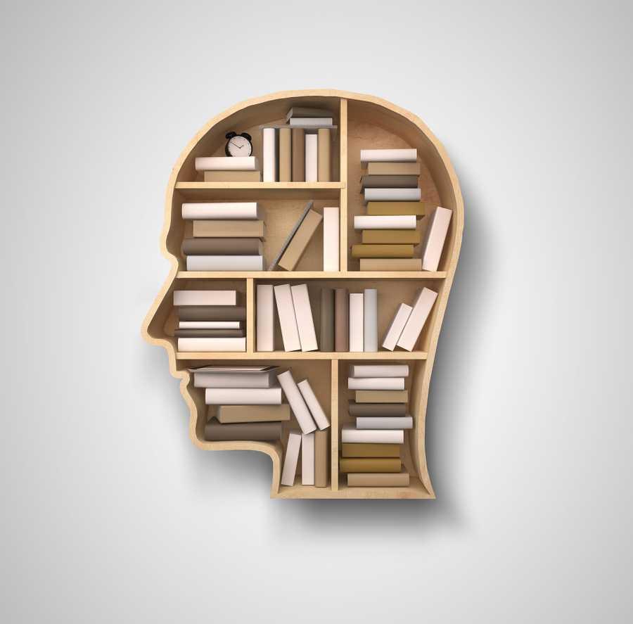 Our brains as libraries
