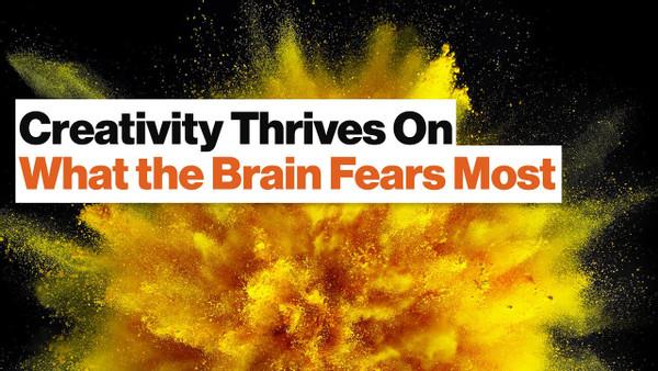 The Neuroscience of Creativity, Perception, and Confirmation Bias | Beau Lotto | Big Think