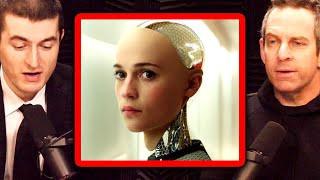AI and Conscious Robots
