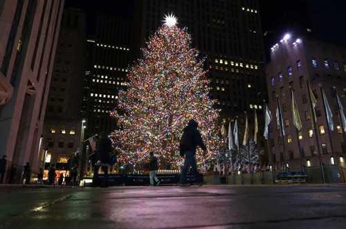 How Christmas Trees Became a Holiday Tradition