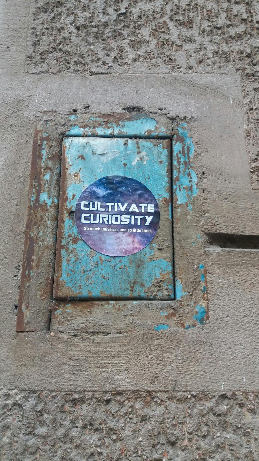 4. Curiosity.