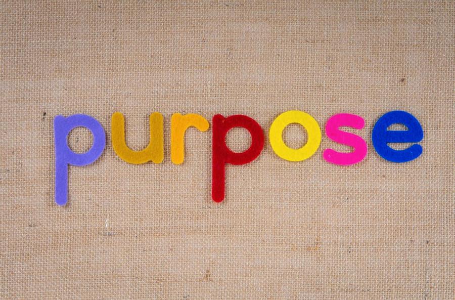 Deep Purpose: The Premise