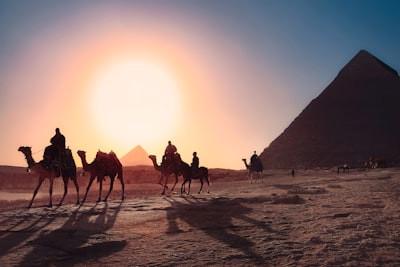 Your guide to Egypt’s sun queen Nefertiti