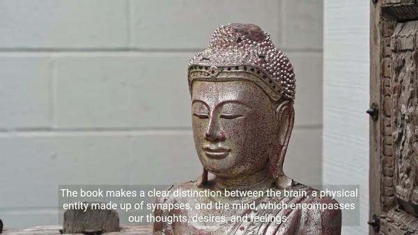 Dive into the transformative world of 'Buddha's Brain'!