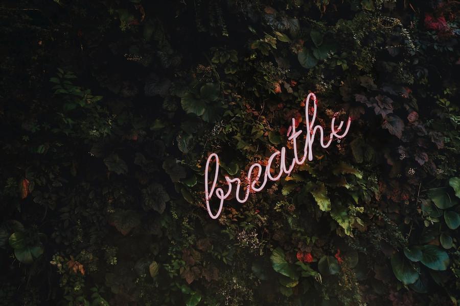 Feel Your Breath 