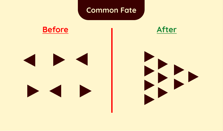 Common Fate 