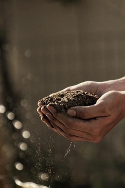 Why Do We Need to Save the Soil?