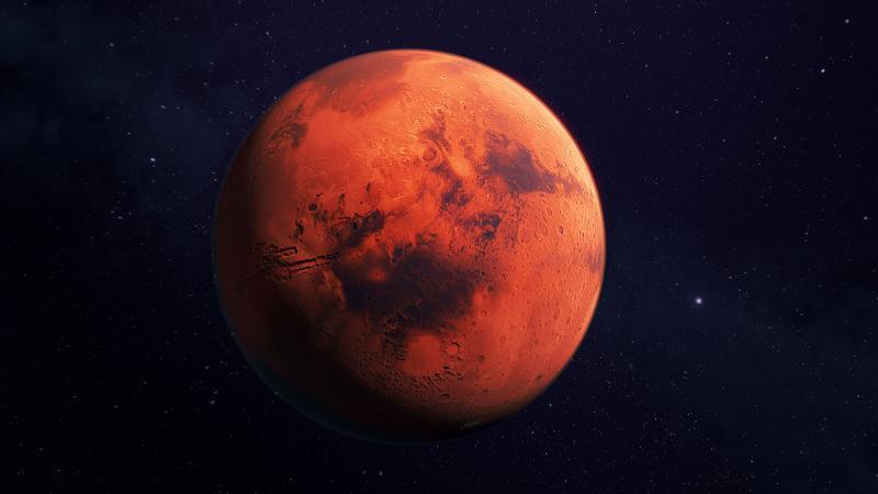 Investigating Life on Mars