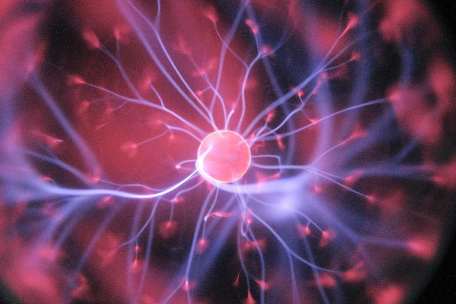 Neuron lives longer than you might think  