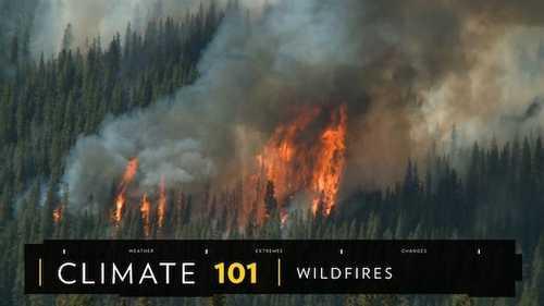 Here's how wildfires get started—and how to stop them