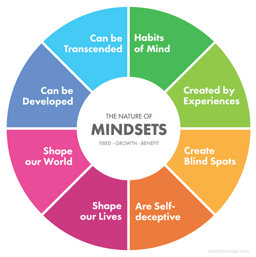 The nature of mindsets