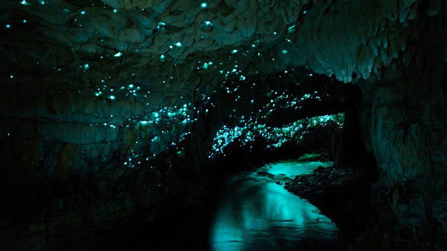 Glowworm Cave - New Zealand