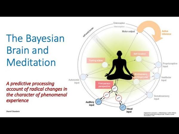 The Bayesian Brain & Meditation