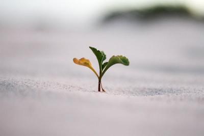 The 5 Areas of Personal Growth (And How to Improve Them)
