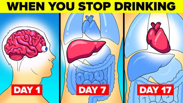 What Happens To Your Body When You Stop Drinking Alcohol