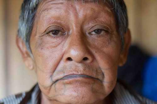 Last Surviving Man Of Amazonian Tribe Dies From COVID-19 — Likely Spread By Invading Loggers