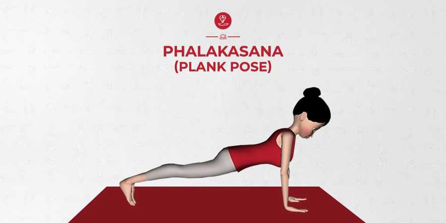 Plank Pose Yoga Quick Facts 