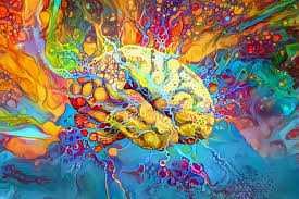 Using psychedelics with other drugs
