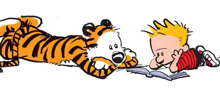 Bill Watterson: The reator of Calvin And Hobbes