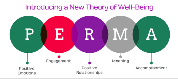 Using PERMA Model of Happiness to Become Happy Easily | Practical Psychology