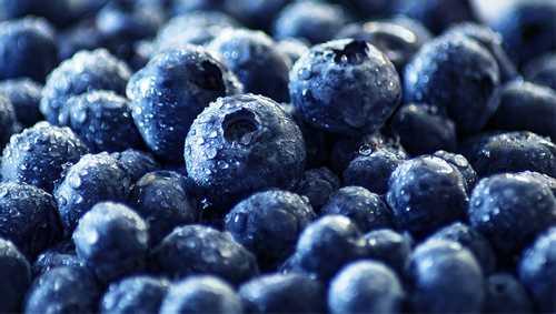 Are blueberries good for weight loss? health benefits - Health Fitness Blog
