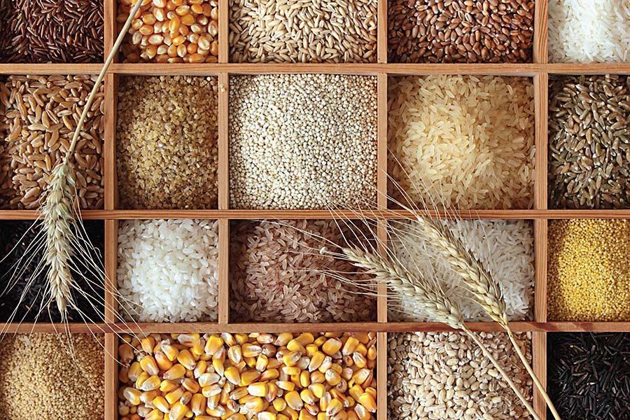 3.) Where does all the corn and other grain go after it’s done making bourbon?