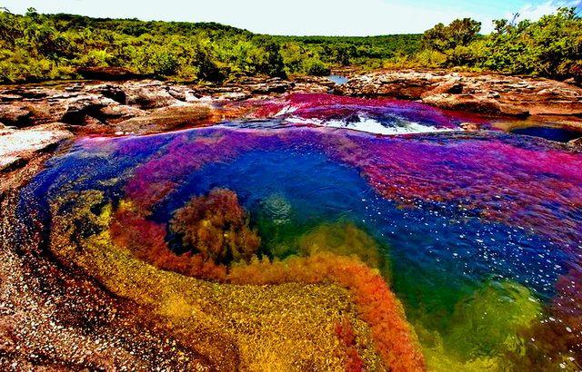 The Liquid Rainbow - Colombia
