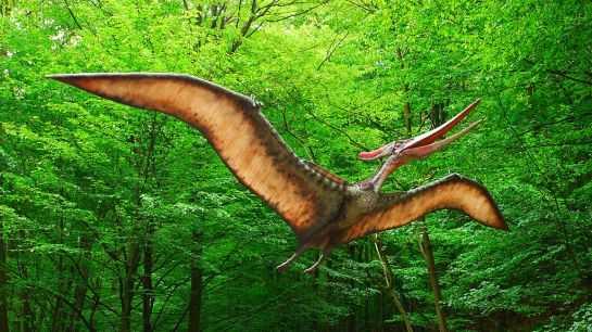Why can’t you hear a pterodactyl go to the bathroom?