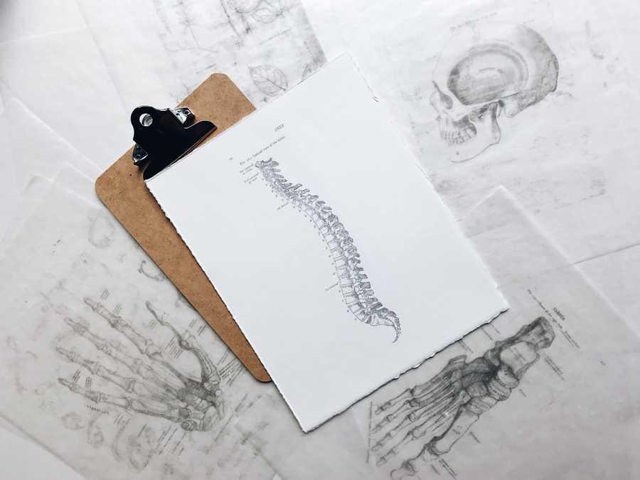 Spine : 