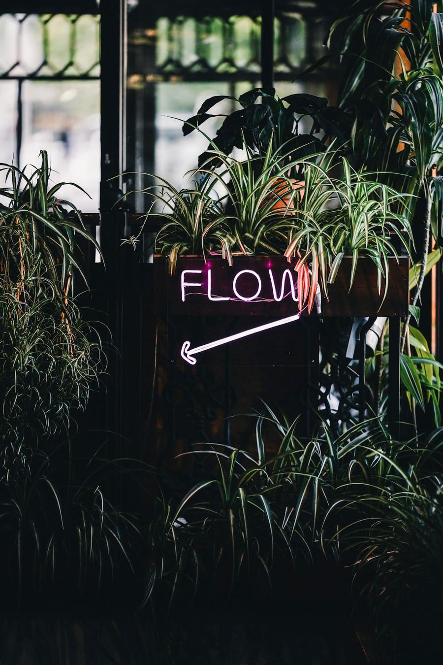 How to experience flow ?