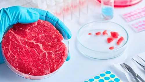 What is lab grown meat? A scientist explains the taste, production and safety of artificial foods