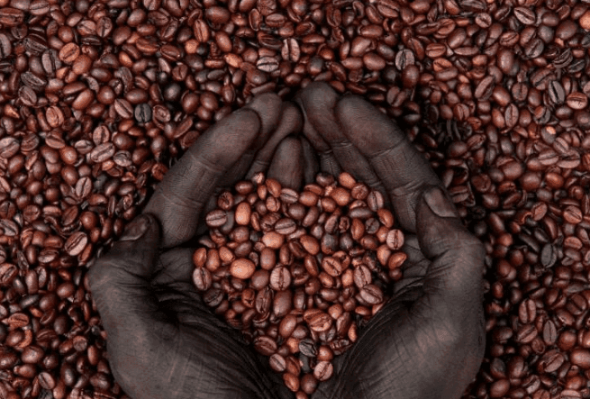 Coffee: An Ethiopian Legend