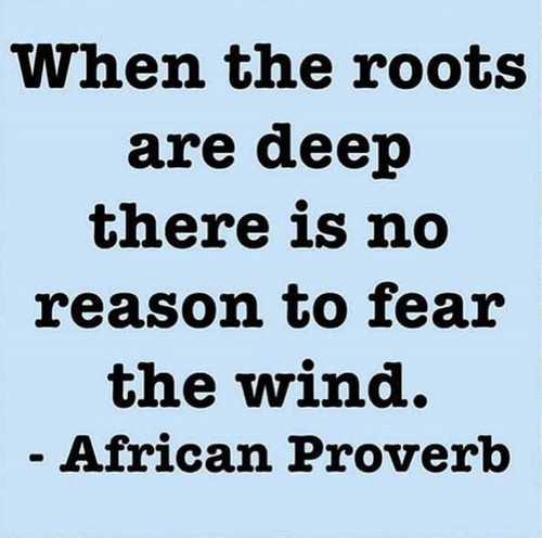 “When The Roots Are Deep There Is No Reason To Fear The Wind”