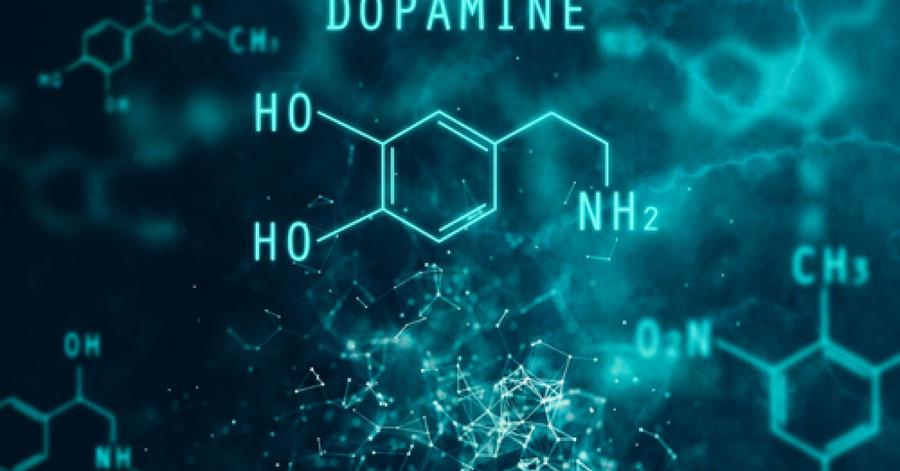 Dopamine Experiment