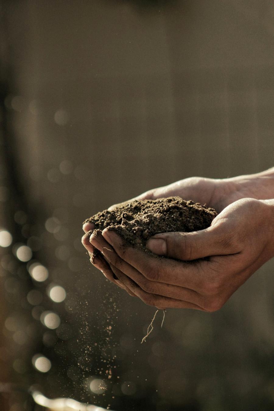 <p>A handful of soil contains ...