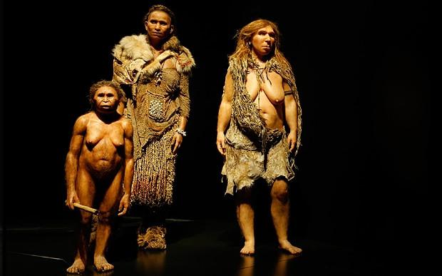 H. Floresiensis: The Hobbit (100,000 to 50,000 Years Ago)