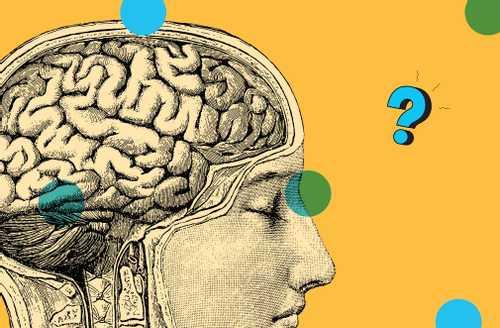 Ask Us Anything: What happens in your brain when you daydream? | Popular Science