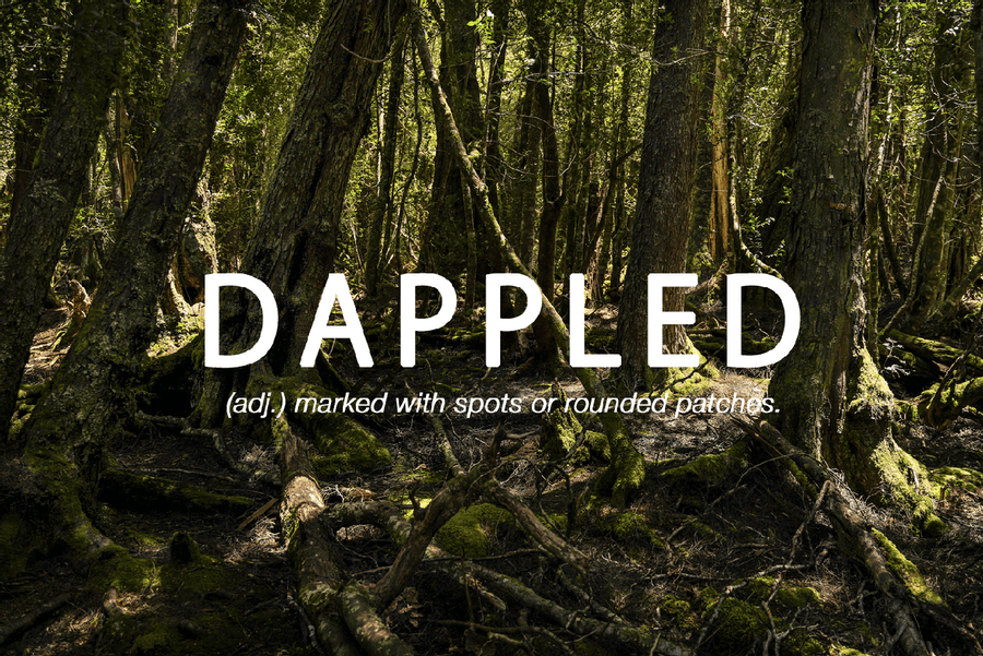 Dappled