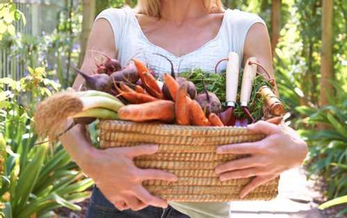 Vegan vs. vegetarian: Differences, benefits, and which is healthier